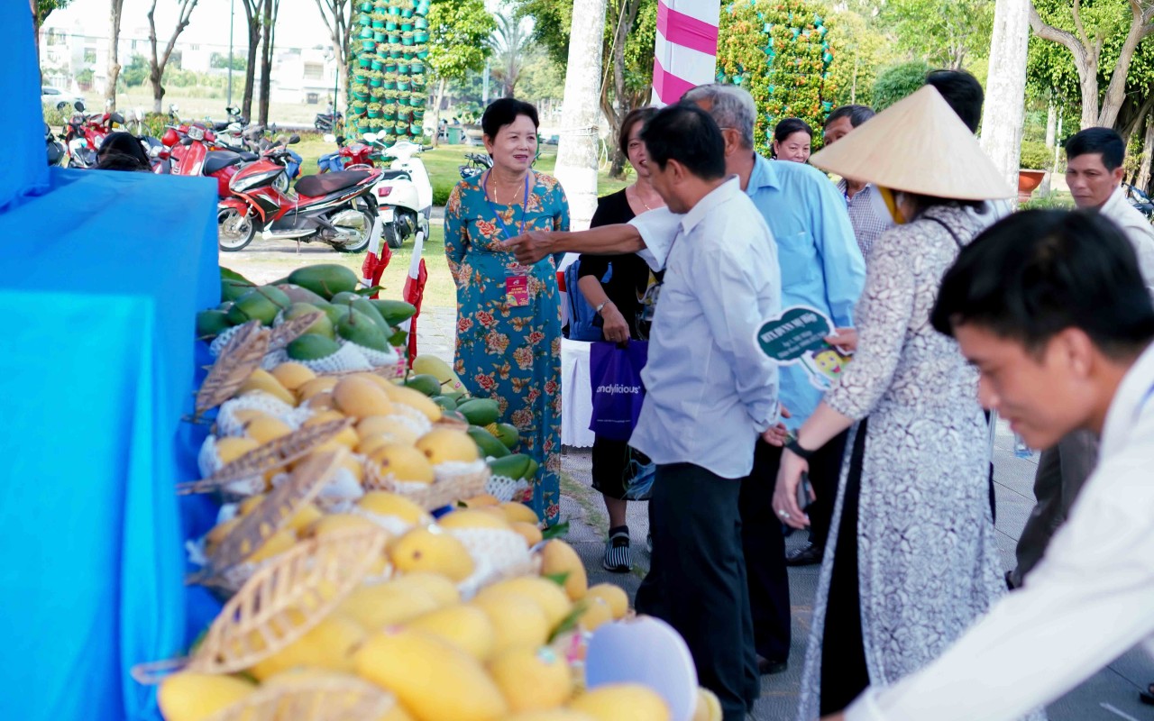 Người trồng xoài Đồng Tháp sẽ được hỗ trợ kết nối thị trường, nâng cao kỹ năng bán hàng