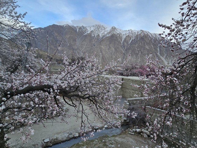 Những cô gái Việt bên rặng núi tuyết Pakistan