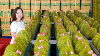 Doanh nghiệp rau quả cần nhiều thông tin thị trường, nhà nhập khẩu quốc tế