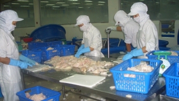 Xuất khẩu thủy sản giảm sâu: Giải pháp nào giúp qua khó khăn để tăng trưởng xuất khẩu?