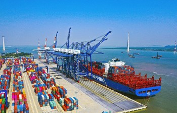 Xuất nhập khẩu sụt giảm mạnh, 
