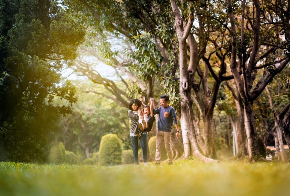 Người dân Thủ đô sẵn sàng chi tiền để tăng diện tích cây xanh.