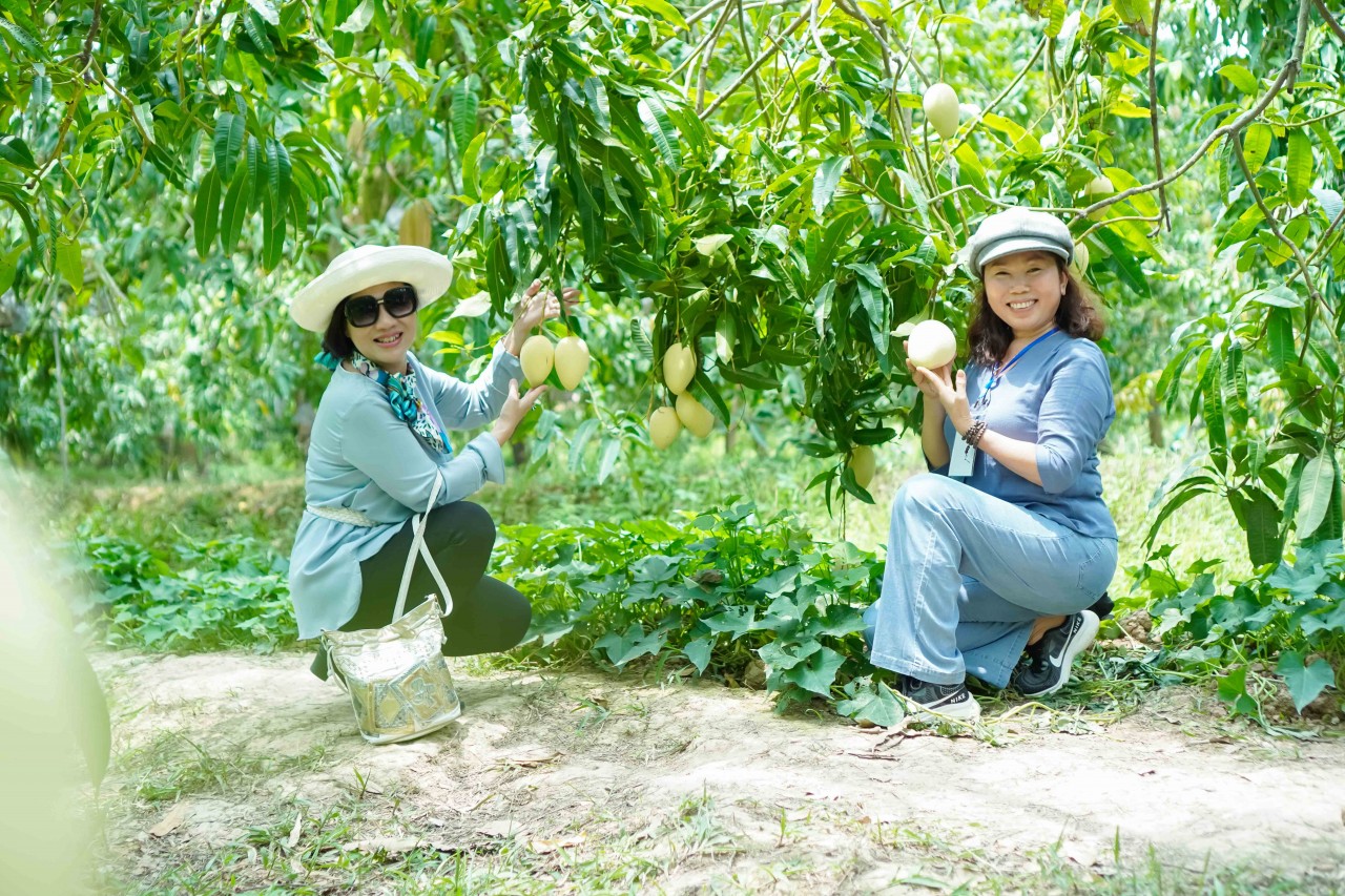 Thụy Sĩ khảo sát hỗ trợ người dân phát triển du lịch bền vững tại Đồng Tháp