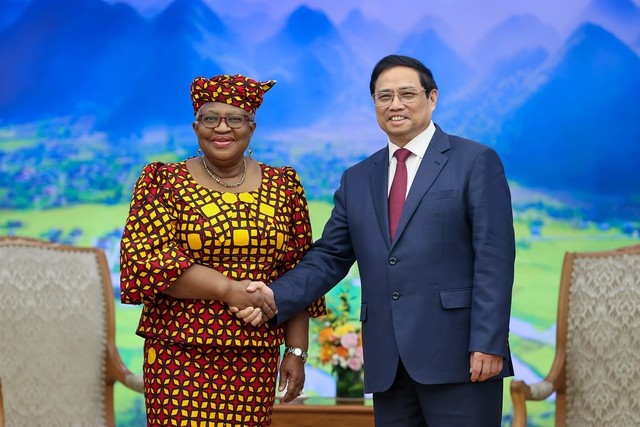 WTO đánh giá cao thành công của Việt Nam về hội nhập quốc tế và phát triển