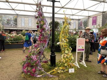 Người Việt đầu tiên thắng giải Bạc tại Chelsea Flower Show 2023