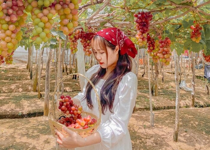 (Ảnh minh họa)