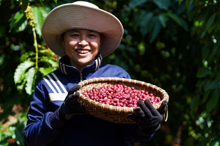 Các nguồn vốn FDI yêu cầu nghiêm về phát triển bền vững buộc doanh nghiệp phải tuân thủ