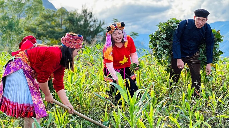 Ra mắt MV nhạc quảng bá vẻ đẹp của Hà Giang