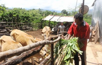 Tăng mức cho vay và giảm lãi suất đối với hộ gia đình ở vùng khó khăn