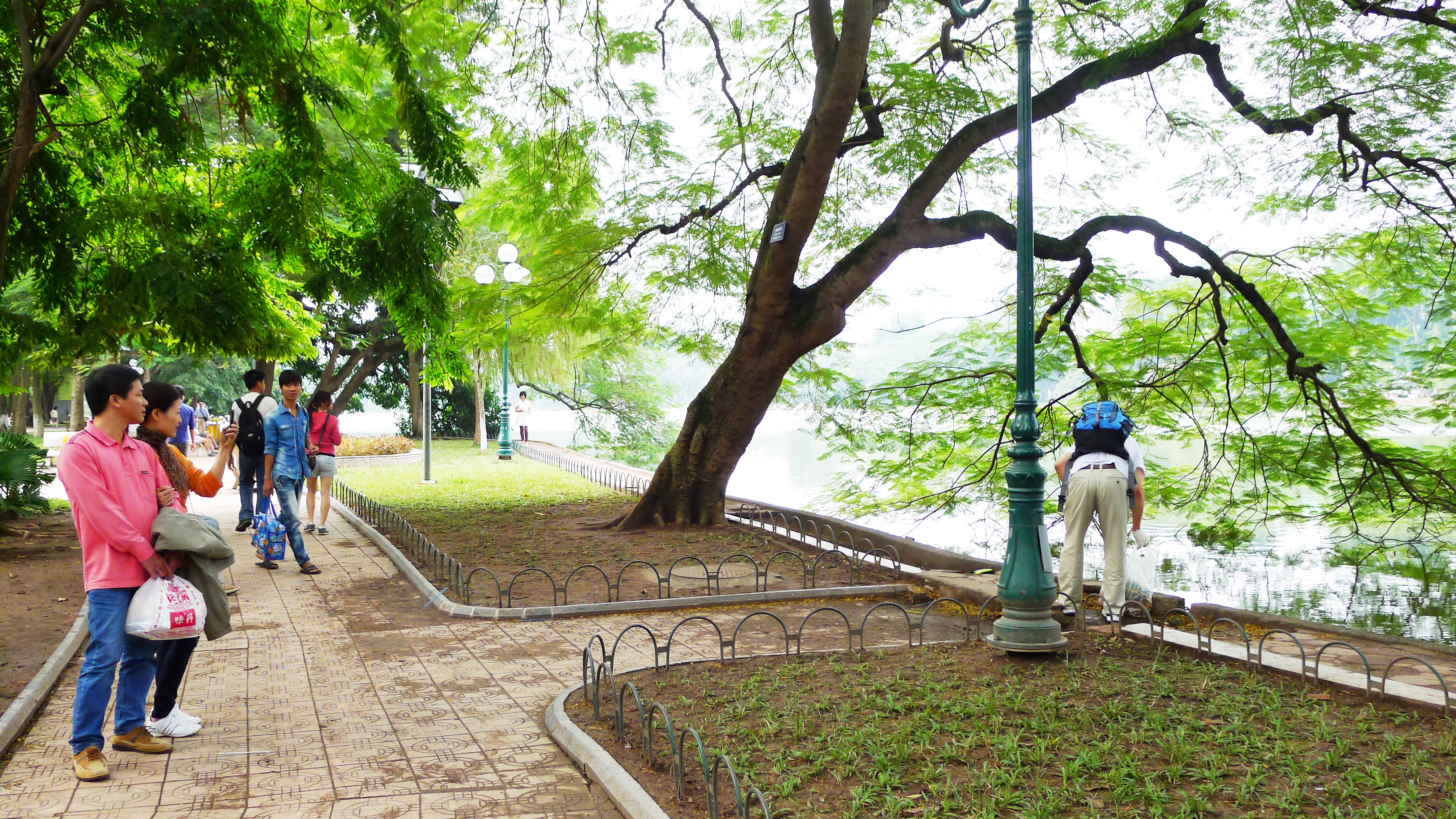 Người bạn Nhật Người bạn Nhật