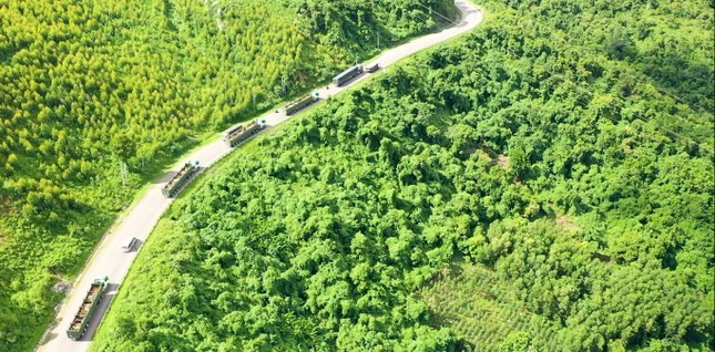 THILOGI mang đến nhiều giải pháp vận tải nội địa tối ưu cho doanh nghiệp
