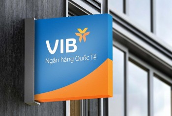 VIB chuẩn bị trả cổ phiếu thưởng tỷ lệ 20%