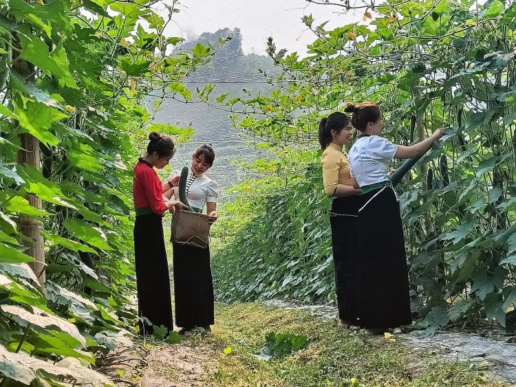 Nậm Pồ (Điện Biên) chuyển mình