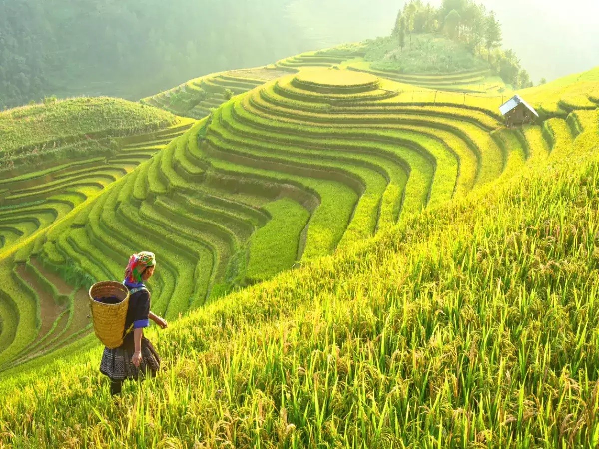 Báo Ấn Độ nói về "thiên đường hạ giới" ở Việt Nam: Hút hồn du khách bởi cảnh đẹp cả 4 mùa