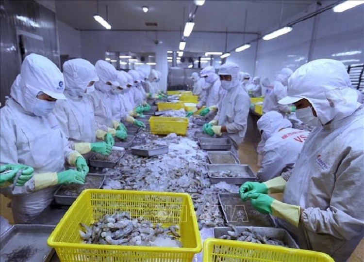 Ngành thuỷ sản đối mặt với nhiều khó khăn