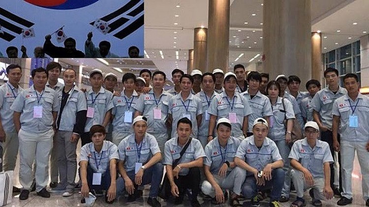 Kế hoạch thực hiện Hiệp định về bảo hiểm xã hội giữa Việt Nam và Hàn Quốc