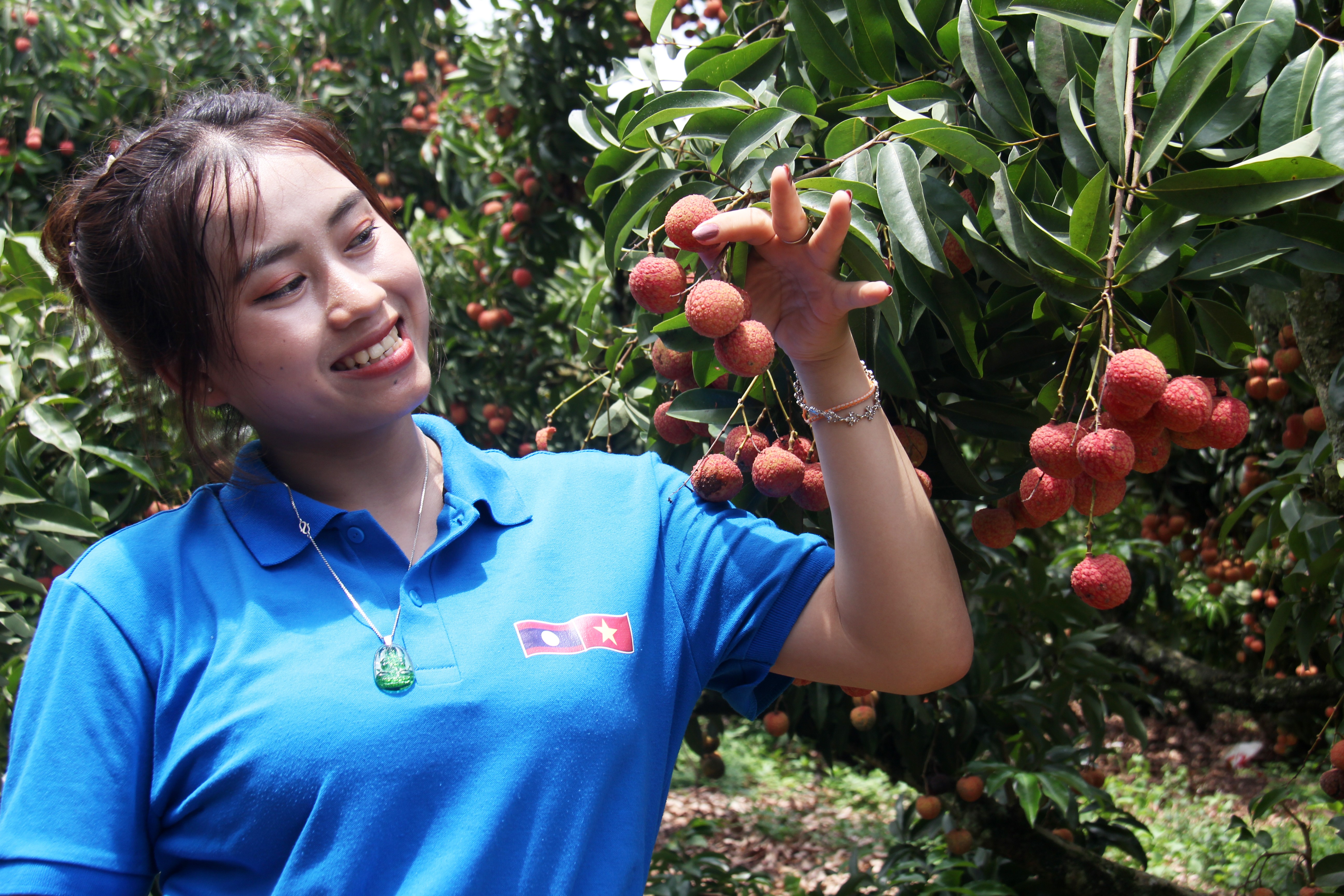 Lưu học sinh Lào hào hứng thăm vườn vải, danh lam cổ tự của Bắc Giang