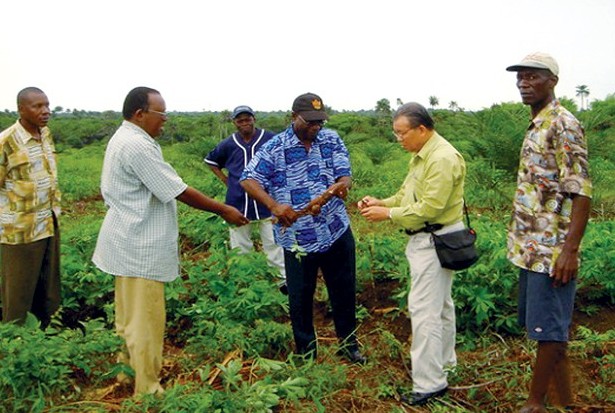 Việt Nam hỗ trợ Sierra Leone phát triển chuỗi giá trị lúa gạo