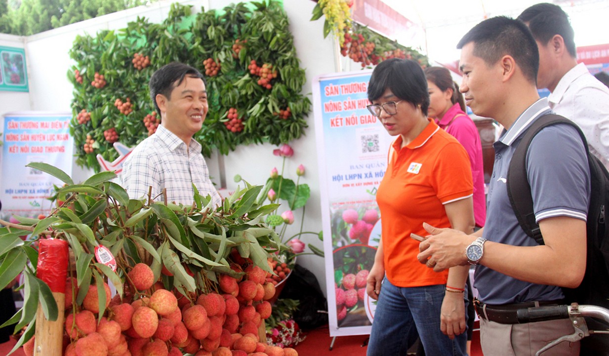 Đại diện Sendo đến Lục Ngạn để tìm hiểu, kết nối đưa vải thiều lên sàn TMĐT tại tại Hội nghị xúc tiến tiêu thụ vải thiều năm 2023.
