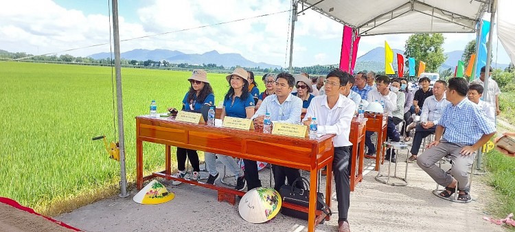 Thêm một cây cầu Việt kiều được khởi công xây dựng tại An Giang