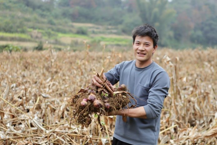 14 năm ChildFund đồng hành cùng người dân Trùng Khánh (Cao Bằng)