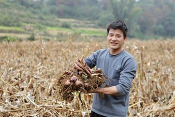 ChildFund: sát cánh cùng trẻ em, hỗ trợ sinh kế cho người dân Trùng Khánh (Cao Bằng)