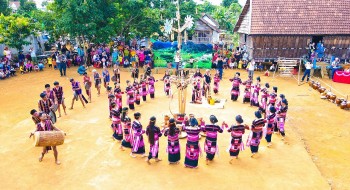 bi nh di nh phu c du ng le hoi truyen thong an com lua moi cua dong bao dtts bohnar kriem