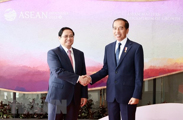 Nha bao Indonesia de cao chinh sach ngoai giao cay tre cua Viet Nam hinh anh 2