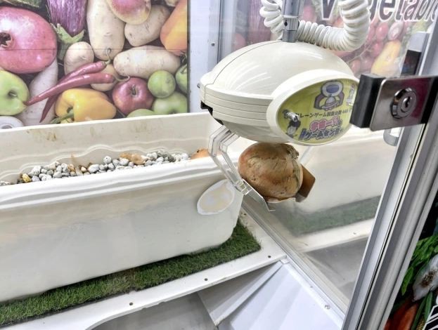 Máy gắp khoai tây ở Nhật Bản. Nguồn: Sora News 24