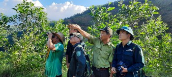 Phim về bảo tồn voọc của Việt Nam đạt giải Nhì tại Liên hoan phim về rừng 2023