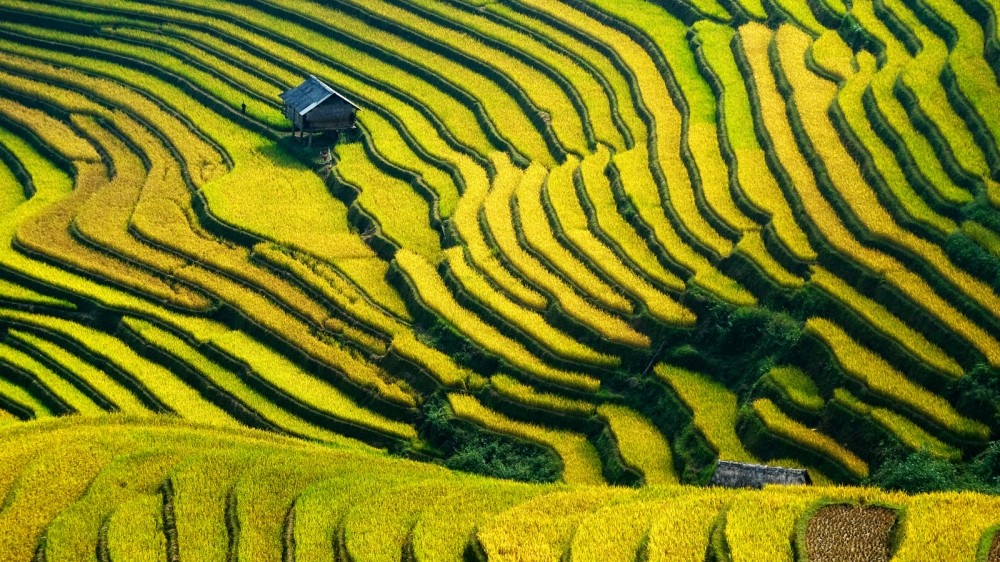 Việt Nam lọt top quốc gia bình yên nhất thế giới