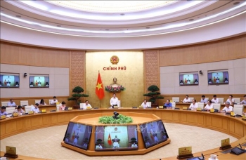 Tạo điều kiện để người cao tuổi phát huy vai trò trong xã hội