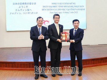 Tỉnh Miyazaki, Nhật Bản tăng cường kết nối với Nam Định trong lĩnh vực nông nghiệp