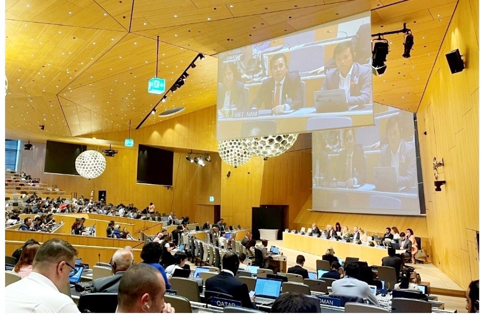 WIPO, sở hữu trí tuệ