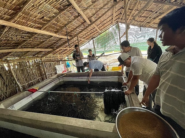Bàn giao lươn giống cho các hộ gia đình ở Kiên Giang (Ảnh: Liên hiệp Hữu nghị Kiên Giang).