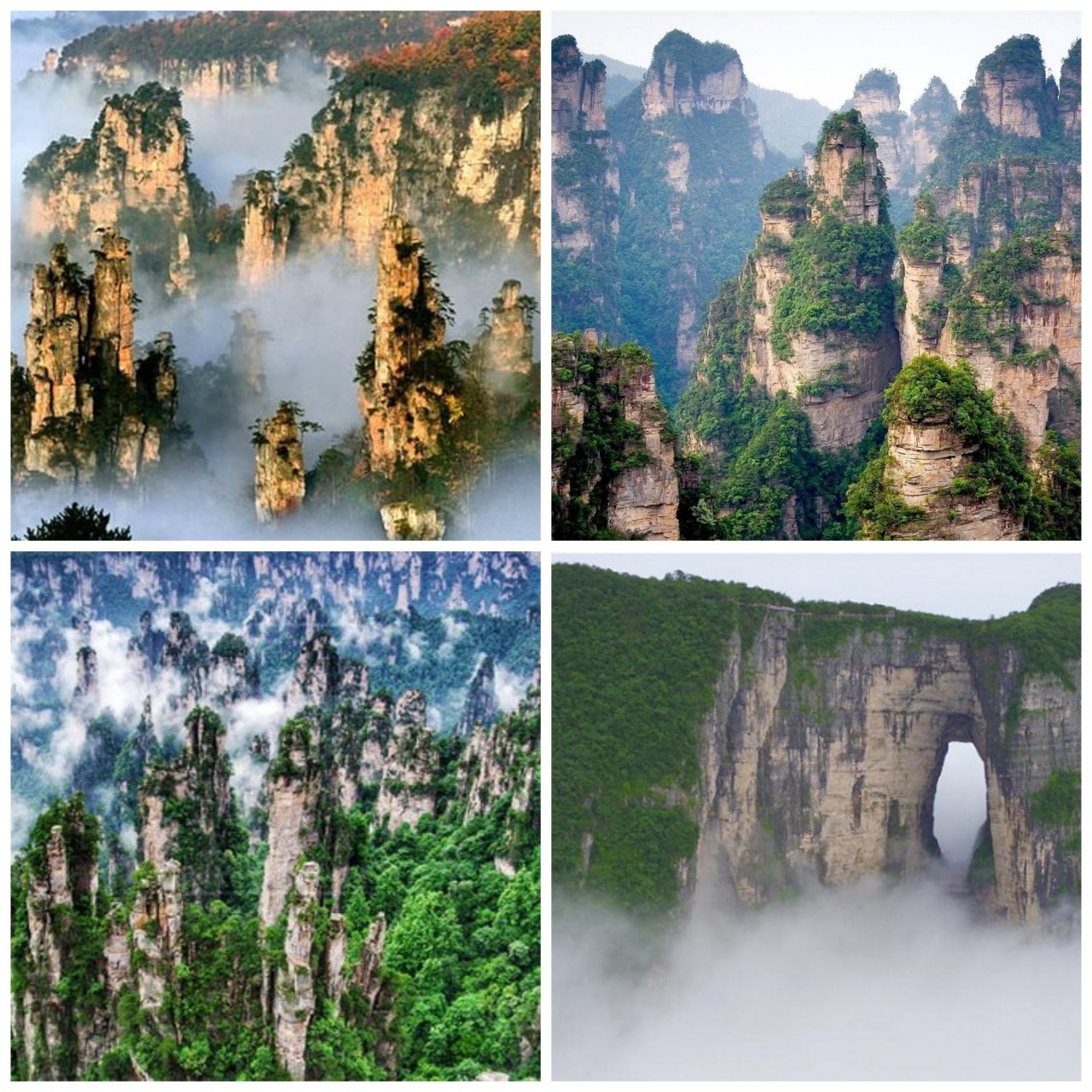 Công viên rừng quốc gia Trương Gia Giới. (Ảnh: Baidu)