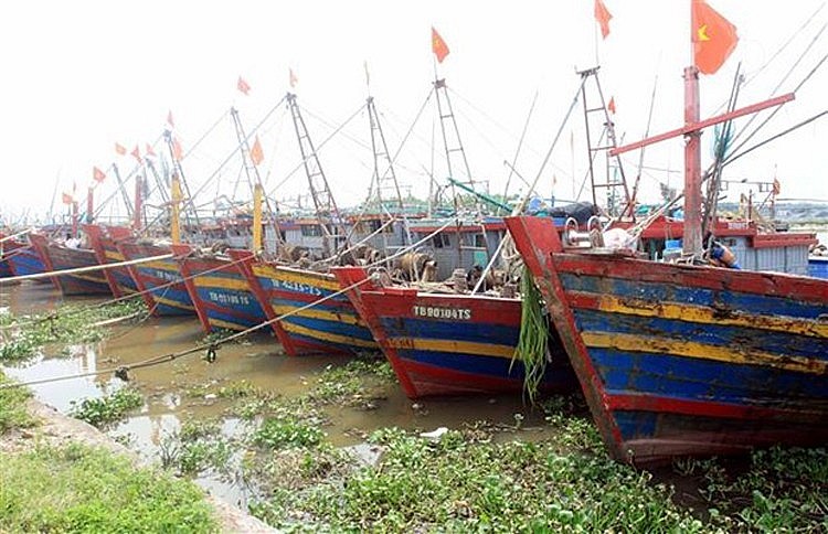 Bão số 1 áp sát, sơ tán 30.000 dân, Quảng Ninh và Hải Phòng cấm biển