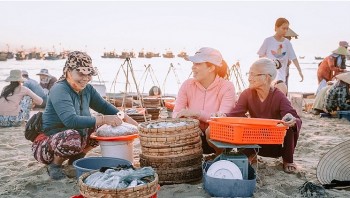 Bình minh ở chợ cá lớn nhất Quảng Nam