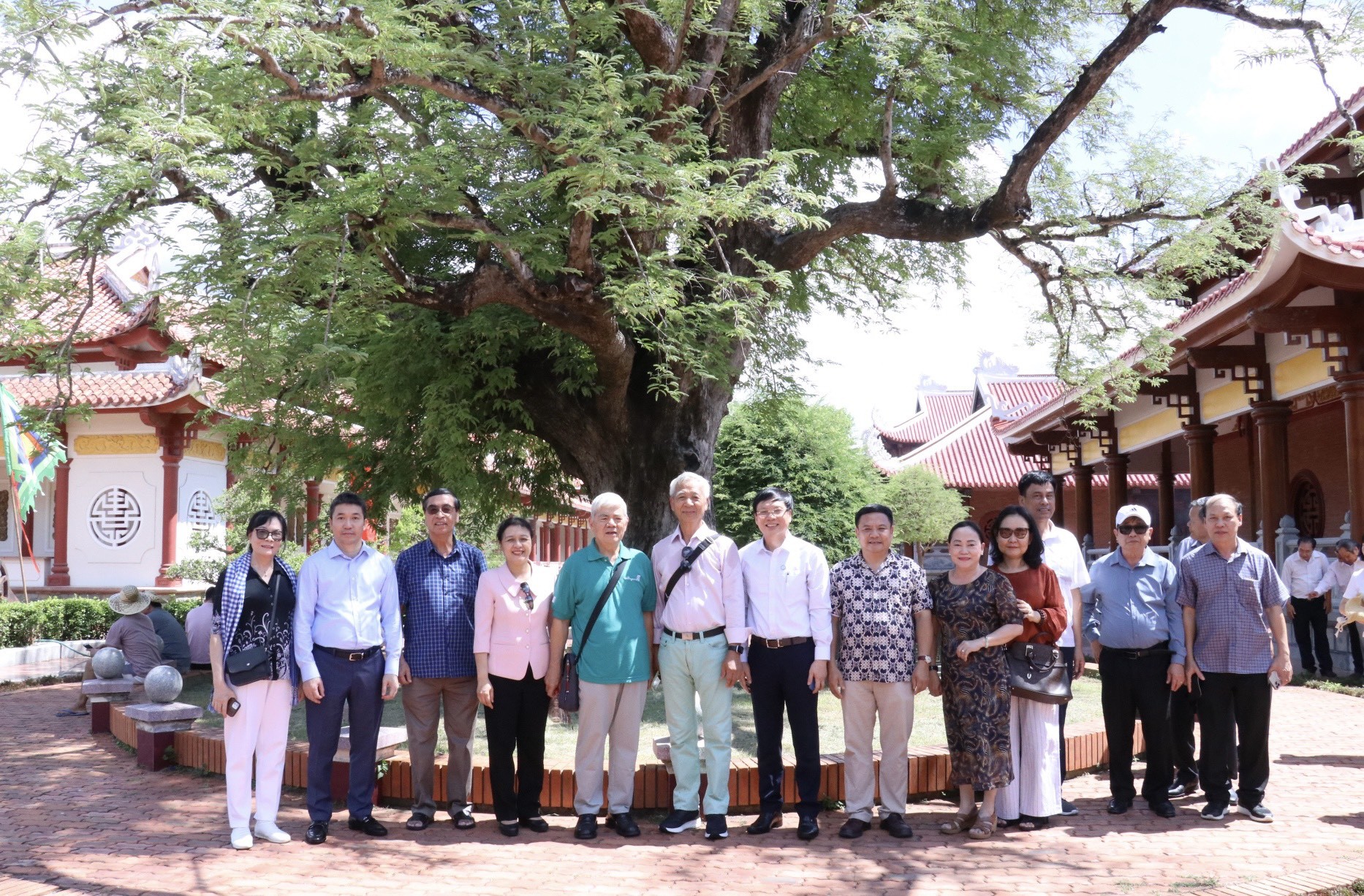 Trong khuôn viên đền thờ còn có cây me cổ thụ do thân phụ của 3 anh em nhà Tây Sơn là ông Hồ Phi Phúc trồng cách đây hơn 200 năm. Cây cao 24m, đường kính thân 1,2m, đường kính gốc 3,9m, tán lá che phủ hơn 600m²… và đã được Hội Bảo vệ thiên nhiên và môi trường Việt Nam cấp bằng công nhận cây di sản năm 2011. Đây là cây cổ thụ đầu tiên và duy nhất ở Bình Định được công nhận cây di sản. Bên cạnh cây me là giếng nước cũng do ông Hồ Phi Phúc xây dựng, được ghép bằng đá ong. Trong khuôn viên đền thờ còn có cây me cổ thụ do thân phụ của 3 anh em nhà Tây Sơn là ông Hồ Phi Phúc trồng cách đây hơn 200 năm. Cây cao 24m, đường kính thân 1,2m, đường kính gốc 3,9m, tán lá che phủ hơn 600m²… và đã được Hội Bảo vệ thiên nhiên và môi trường Việt Nam cấp bằng công nhận cây di sản năm 2011. Đây là cây cổ thụ đầu tiên và duy nhất ở Bình Định được công nhận cây di sản. Bên cạnh cây me là giếng nước cũng do ông Hồ Phi Phúc xây dựng, được ghép bằng đá ong.