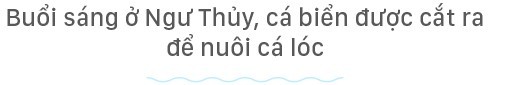 Hồn biển bao đời