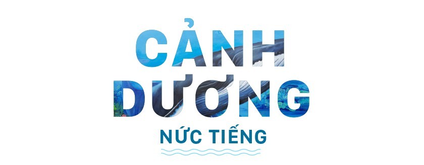 Hồn biển bao đời