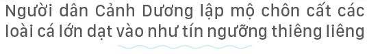Hồn biển bao đời