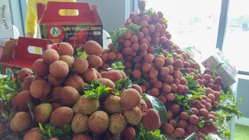 Đường nào cho nông sản Việt Nam vào Áo, nẻo nào cho công nghệ Áo vào Việt Nam?