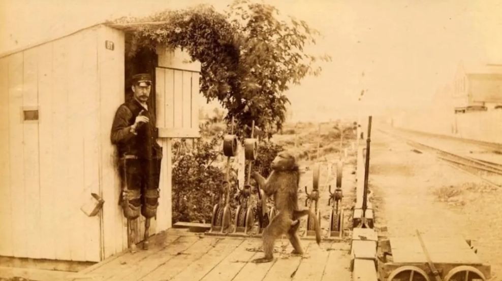 Cảm động tình bạn giữa nhân viên đường sắt và chú khỉ đầu chó trợ lý