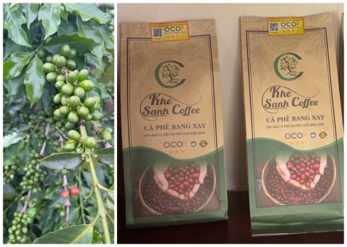Sức sống mới ở chiến trường Khe Sanh xưa