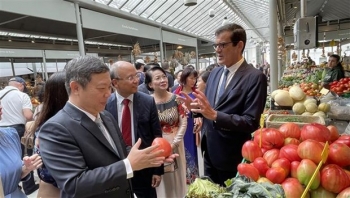 thanh pho ho chi minh toa sang tai le hoi viet nam o bo dao nha
