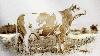 Kỳ lạ hoạ sĩ người Đức thích vẽ tranh bằng... phân bò