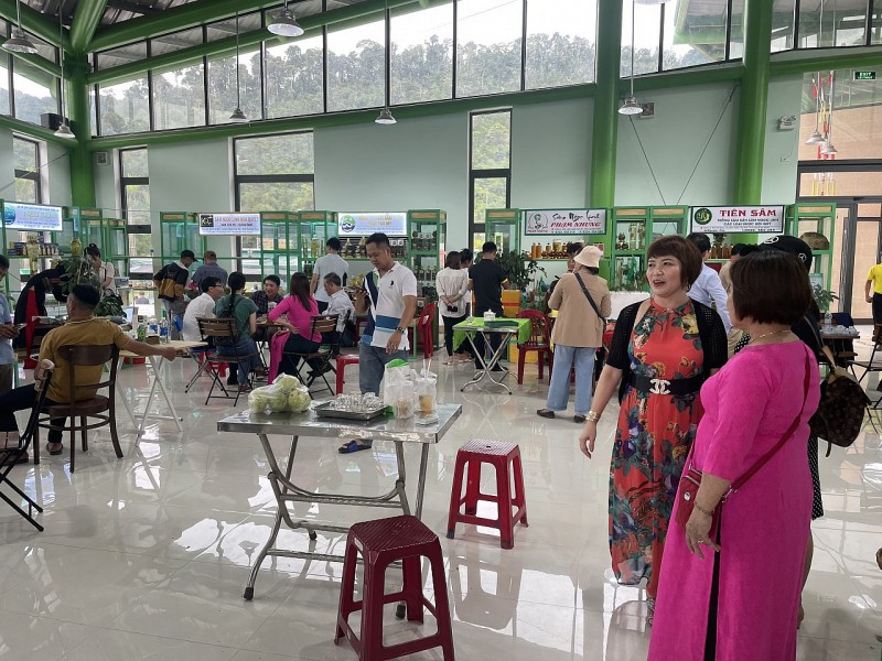 20 năm tái lập: mang hình ảnh sâm Ngọc Linh, con người Nam Trà My tới bạn bè trong nước và quốc tế