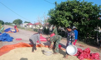 Để có được những 
