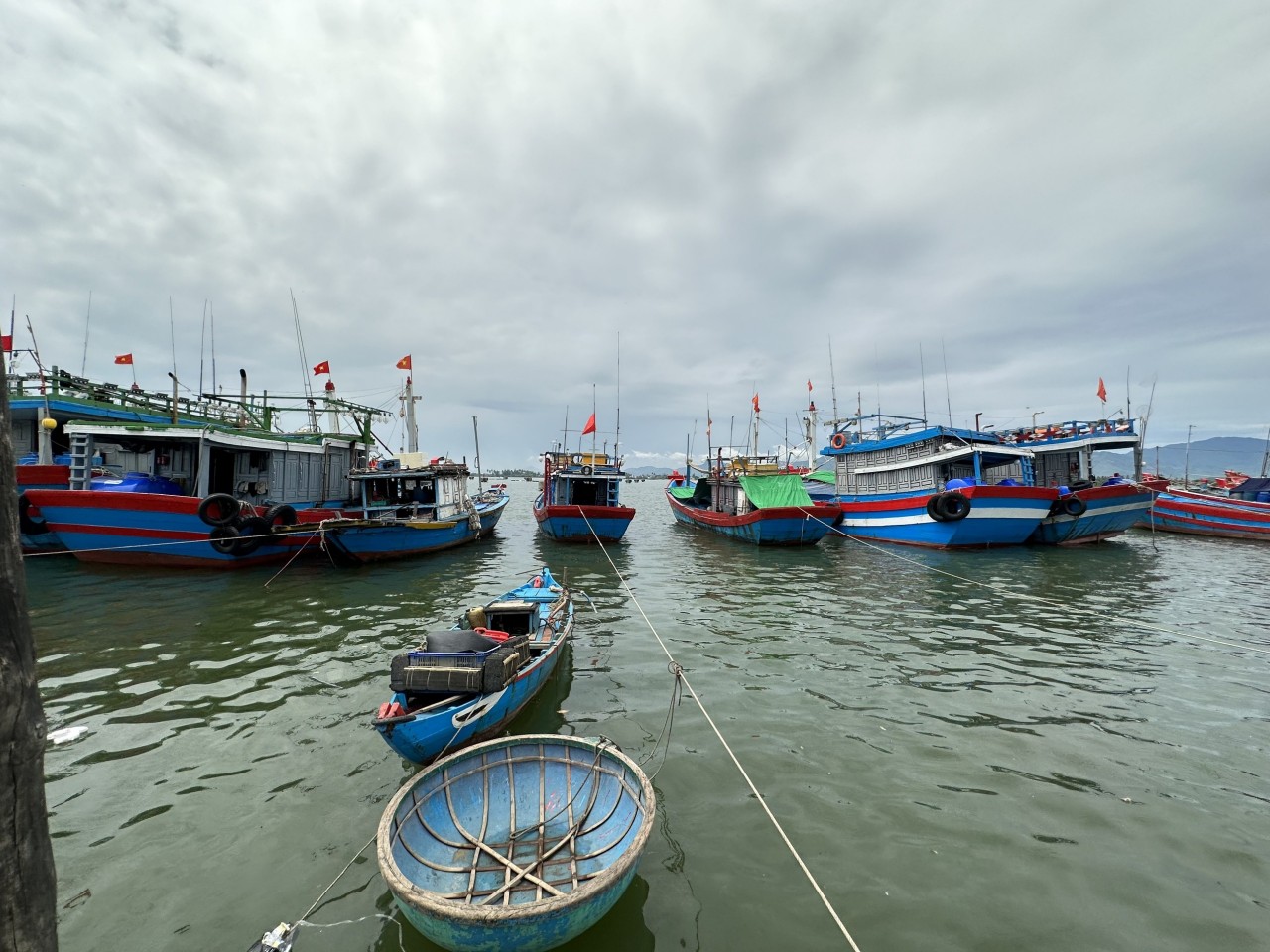 Núi Thành, Quảng Nam: Người già đi biển
